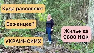 Жильё для украинских беженцев за 9600 включая интернет и даже свет!! Бывает ли у меня хандра?