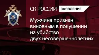 Мужчина признан виновным в покушении на убийство двух несовершеннолетних