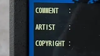 Comment Artist Copyright (Nikon P1000)