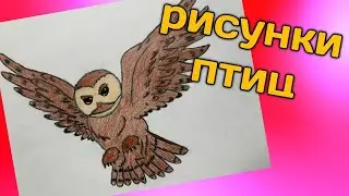 РИСУНОК ПТИЦ🦉🦅🐥 | УРОК РИСОВАНИЯ