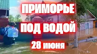 Наводнение в Приморье сегодня 13 населенных пунктов отрезало паводком в Дальнереченске