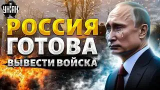 Россия готова вывести войска: Путин в панике завыл о переговорах. Зеленский МОЩНО ответил на вброс