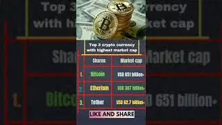 Top  3 Cryptocurrency by Market Capitalization - 2013/2021 