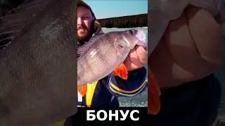 Выхватил бонуса #рыбалка #безнасадка