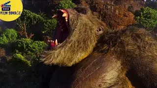 Godzilla vs Kong  | Ormanlar Kralı Kong | HD |