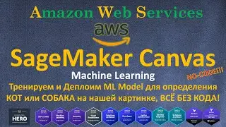 AWS - SageMaker Canvas - КОТ или СОБАКА на картинке, Полный пример ML с НУЛЯ : TRAIN,VALIDATE,DEPLOY