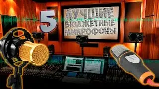 Топ 5 самых лучших бюджетных микрофонов