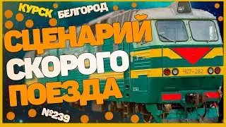 ZDSimulator Скорый поезд № 239 сообщением Мурманск - Симферополь по участку Курск - Белгород