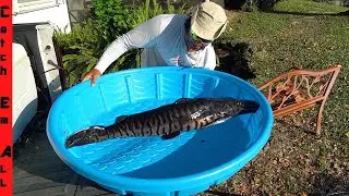 MONSTER FISH FLIPS OUT while MEASURING! **Pool Pond Pets Truck Transport**