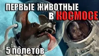 ПЕРВЫЕ ЖИВОТНЫЕ в КОСМОСЕ  5 полетов