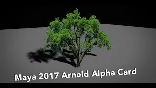 MAYA 2017 - Render Card with alpha in Arnold (simple tutorial)