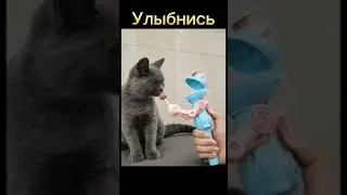 Приколы дня☺ #юмор #шутки #прикол #смех #ржака #топ #shorts