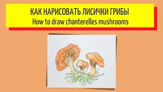 Как нарисовать лисички грибы - How to draw chanterelles mushrooms