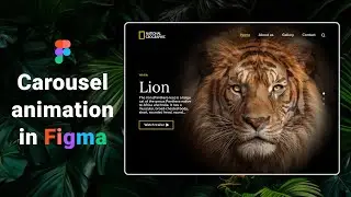 Carousel Animation in Figma 🦁 Animal Transformation