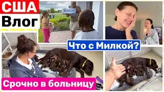 США Влог Мике плохо! Срочно в госпиталь! Что с Милкой Семейный Влог Big big family in the USA