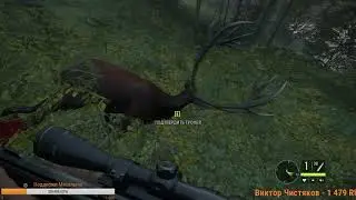 МИФИЧЕСКИЙ БЛАГОРОДНЫЙ ОЛЕНЬ - TheHunter: Call of the Wild.