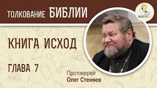 Книга Исход.  Глава 7. Протоиерей Олег Стеняев. Библия