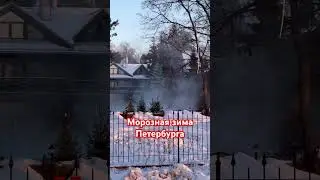 Холода в Спб побили рекорды