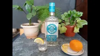 Текила Олмека белая (tequila olmeca blanco). Честный обзор