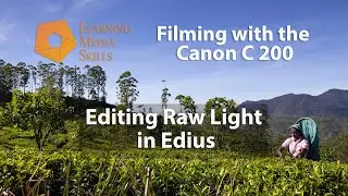 Filming with the Canon C200 - How to Edit Cinema Raw Light in Edius Pro