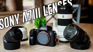 SWITCH from Canon to Sony is Complete | Which LENSES for the A7 III?