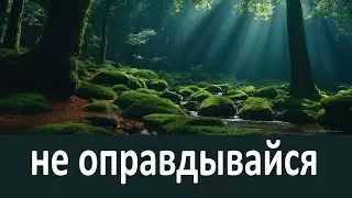 Не оправдывайте самих себя