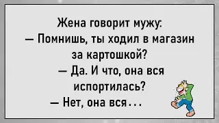 💎Подборка До Слёз Смешных Анекдотов! Просыпается Хоттабыч С Большущего Бодунища...