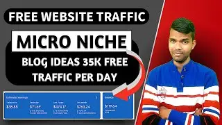 Free Traffic Secrets: How to Get Visitors to Your Website with Micro Niche Blogging!