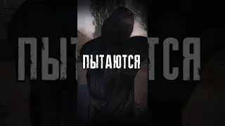 Самые душевные выборы сюжета в Сталкер Тень Чернобыля #Shorts