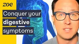 IBS vs constipation: what you need to know | Dr Will Bulsiewicz