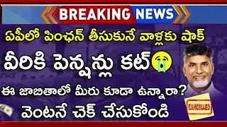 AP Pension Latest News Telugu | AP Pension News 2024 | AP Pension Latest News | NTR bharosa Pension