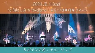 【na Relo live in Yokohama】サボテンの花 / チューリップ (Saboten-no Hana by TULIP)【Cover】