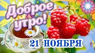 Доброго утра и ещё лучшего дня! ❤️ Доброго утречка Вам! 👌Самые теплые пожелания с Добрым утром! 🎀