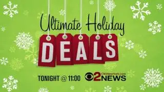 WCBS  HOLIDAYDEALS TNT