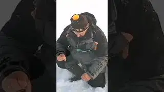 С Новым годом ! Всем ТРОФЕЕВ !!! 