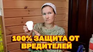 ЧИСТЫЙ ДОМ ОТ МОШЕК СПАСЕТ РАССАДУ ЦВЕТЫ ОТ БЕЛОКРЫЛКИ @obovsemsmarusya