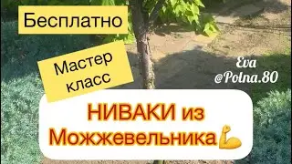 НИВАКИ из Можжевельника. Своими руками 🙋‍♀️