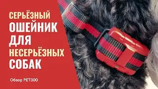 Обзор электронного ошейника PET300 для собак | Amazin.Su