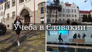 Учеба в Словакии. Университет Матея Бела. Экономический факультет. EF UMB. Бесплатное образование