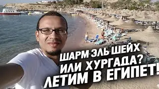 Шарм-Эль-Шейх или Хургада - куда лучше полететь на отдых в Египет? Зимой в Египет в 2020/21!