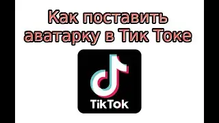 Как поставить аватарку в Тик Токе (фото или видео)