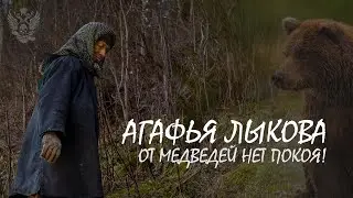 Агафья Лыкова. От медведей нет покоя!