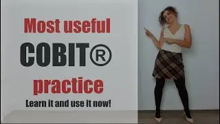 Most useful COBIT® practice