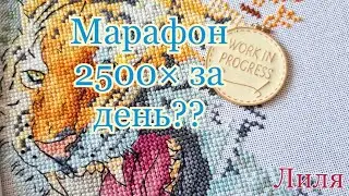 2500 крестиков за день, получится ли Марафон? Вышивка крестиком. Мешкова