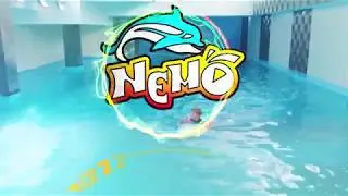 Знакомство с дельфинами + Юный тренер в «NEMO»