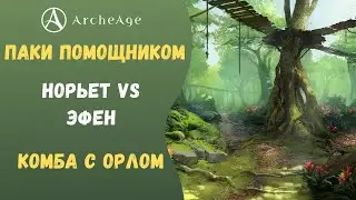 ArcheAge 7.0 | ЛИСМАН | КОМБА С ОРЛОМ, ВЫБОР КОЛЬЦА, ПАКИ ПОМОЩНИКОМ, МНЕНИЕ О ЖУКЕ!