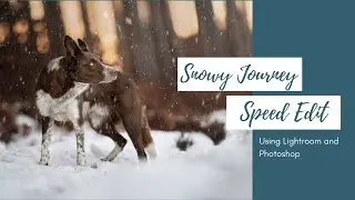 Snowy Journey: Speed Edit