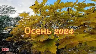 Осень 2024. Парк 