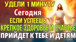 Сегодня ВАЖНО УСПЕТЬ! КРЕПКОЕ ЗДОРОВЬЕ И СЧАСТЬЕ ПРИДЕТ К ВАМ И СЕМЬЕ! Молитва Спасу, Канон