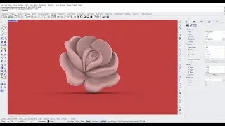 Rhino tutorial